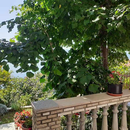 Dada Apartment Senj  Bilik gambar