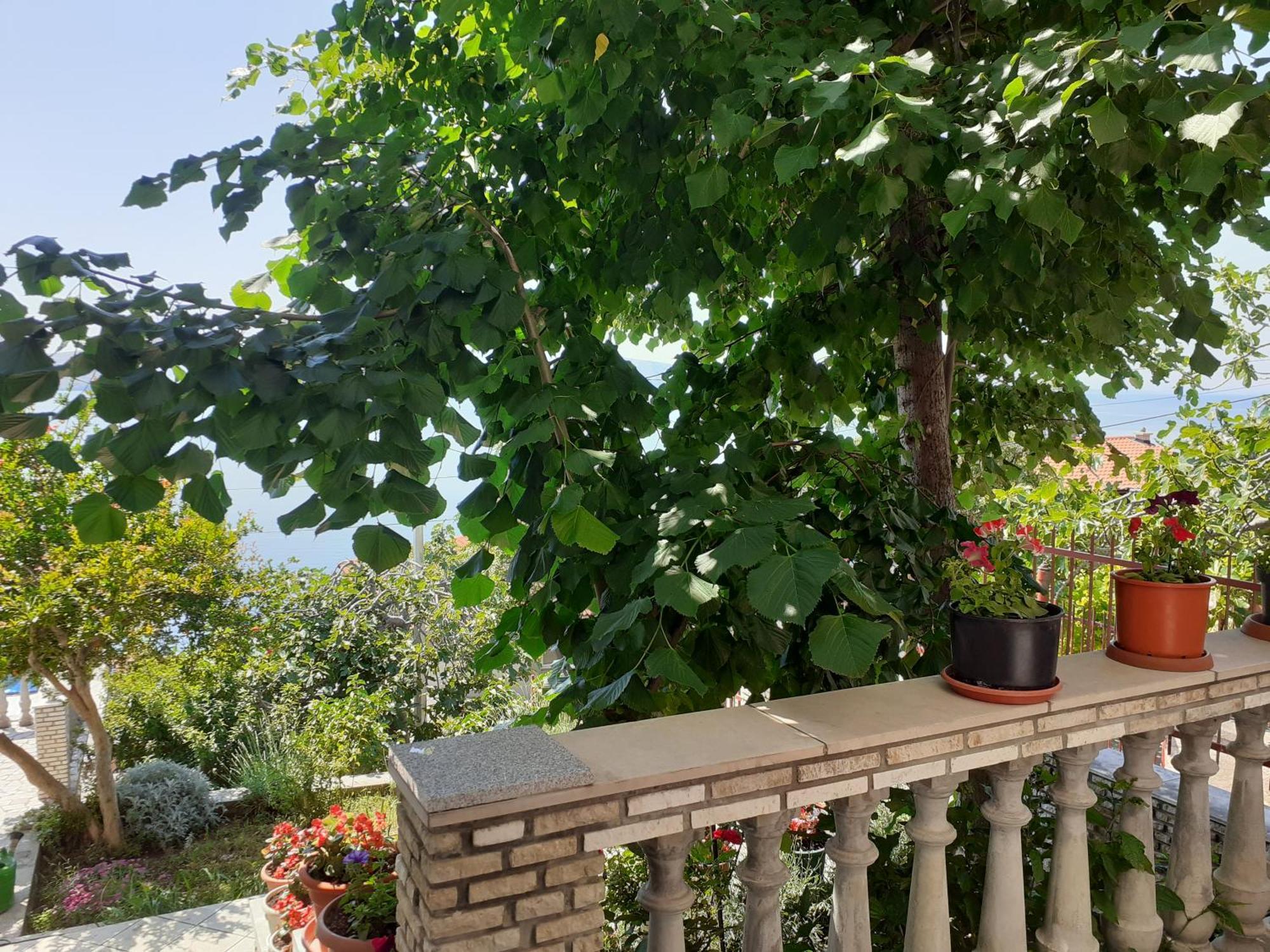 Dada Apartment Senj  Bilik gambar