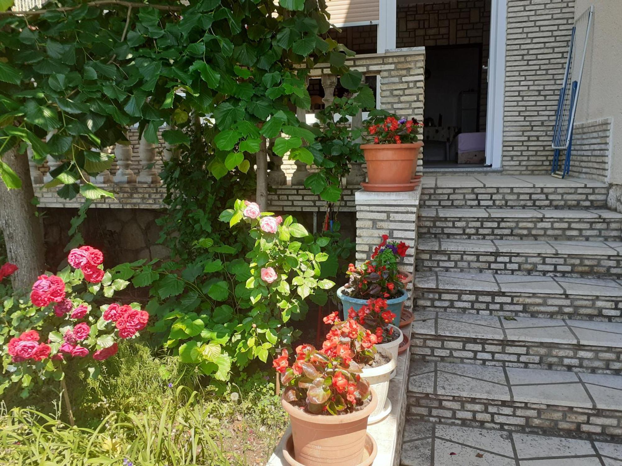 Dada Apartment Senj  Bilik gambar