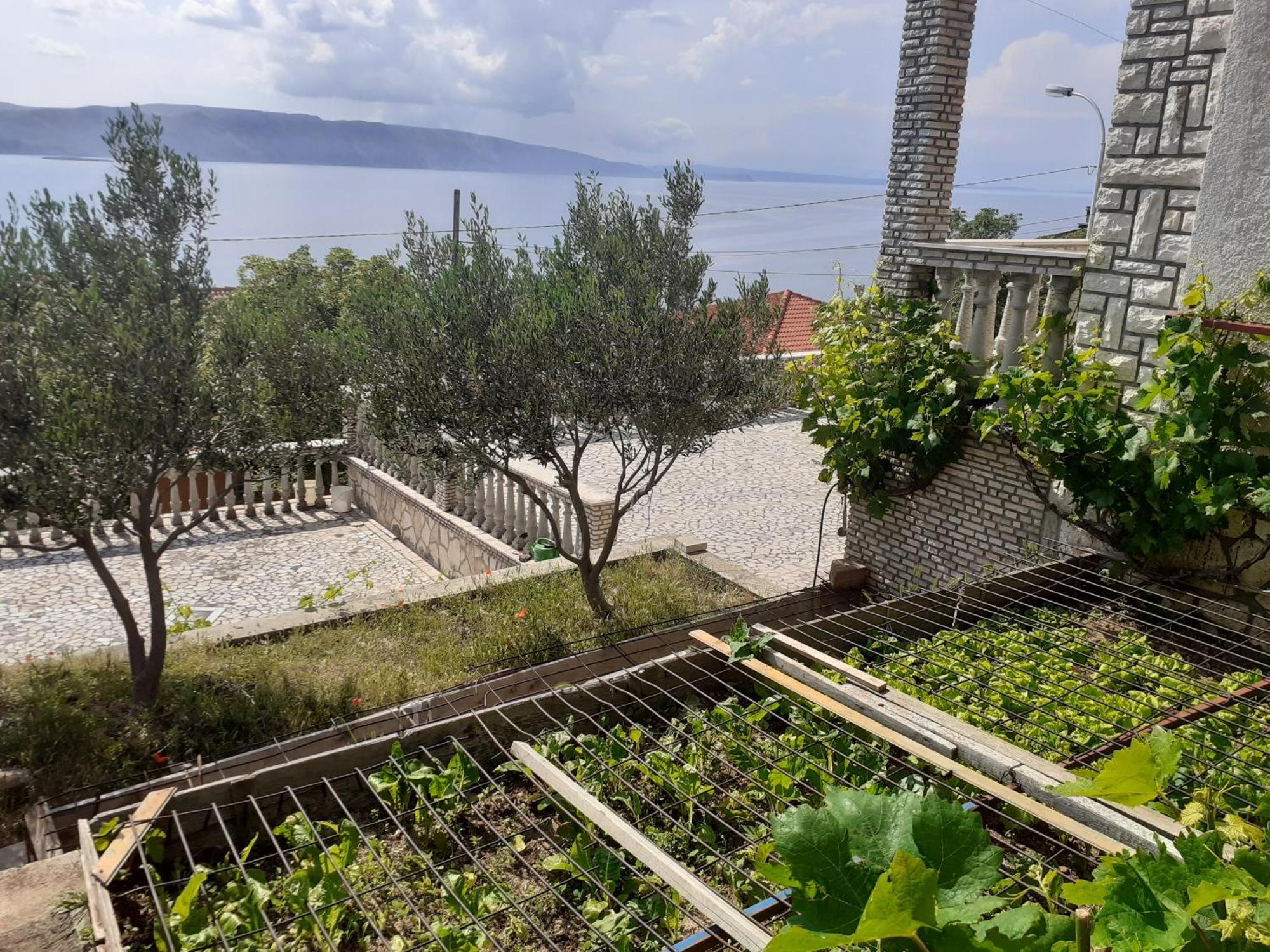 Dada Apartment Senj  Bilik gambar
